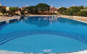 Live Costa Adeje Terraza Y Piscina